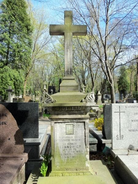 Zdjęcie grobu Ignacy Tonnowicz (2)