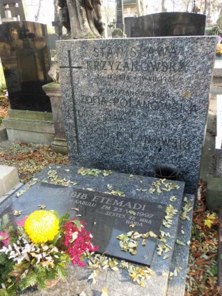 Zdjęcie grobu Leon Polanowski (2)