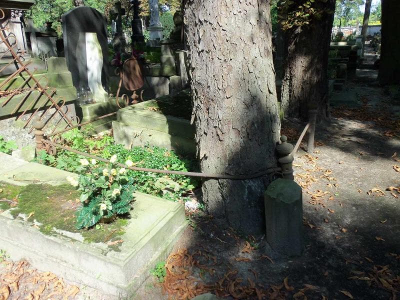 Zdjęcie grobu Magdalena Basiewicz (1)