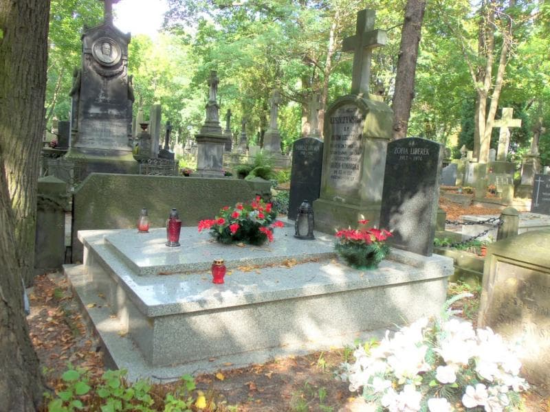Zdjęcie grobu Antoni Leszczyński (1)