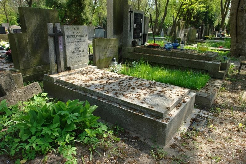Zdjęcie grobu Alina Bukowska - Stadnicka (1)