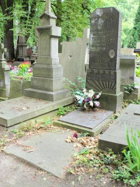 Zdjęcie grobu Maria Kazimiera Tecnerowa (1)