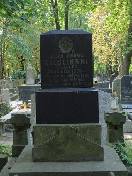 Zdjęcie grobu Juljan Junosza Ciesliński (2)
