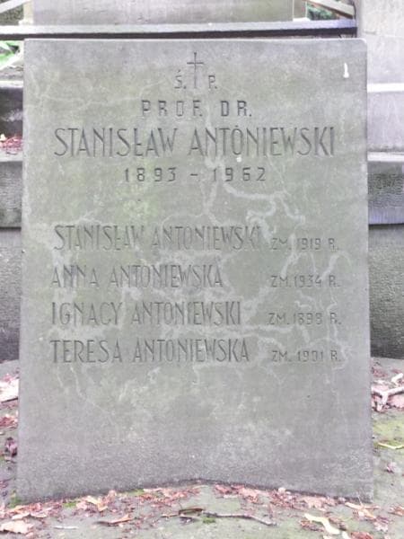 Zdjęcie grobu Ignacy Antoniewski (2)