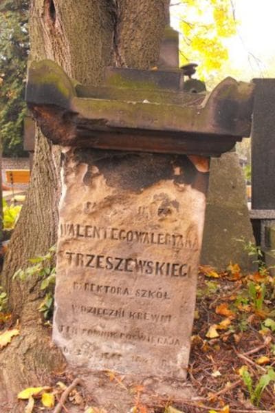 Zdjęcie grobu Walenty Waleryan Strzeszewski (1)