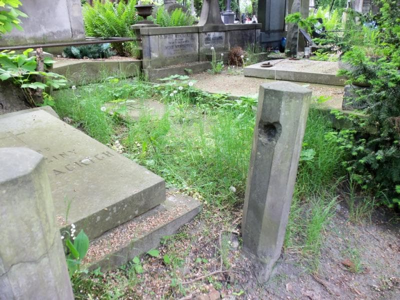 Zdjęcie grobu Wiktorya Baranowska (1)