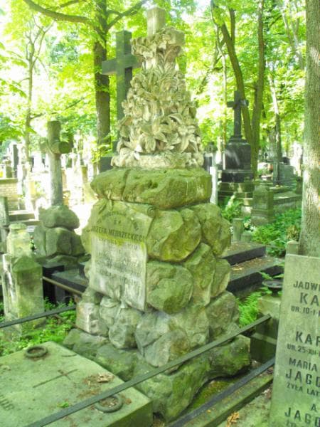 Zdjęcie grobu Józef Mędrzecki (1)