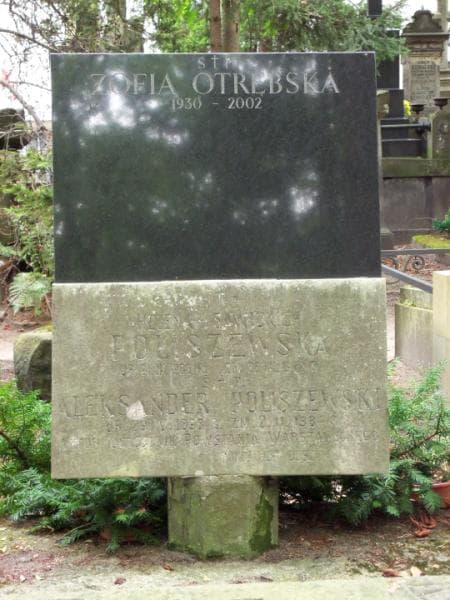 Zdjęcie grobu Aleksander Poliszewski (2)