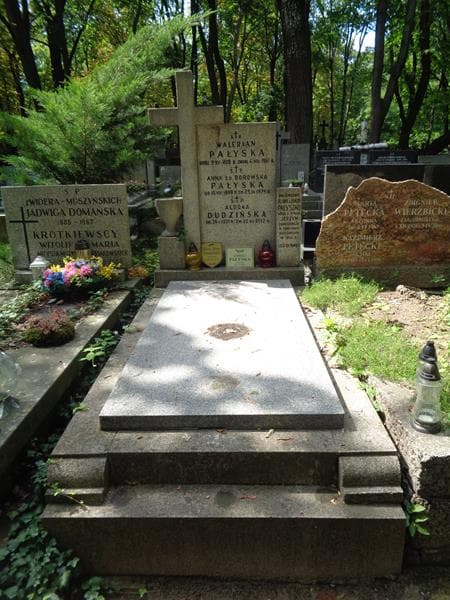 Zdjęcie grobu Anna Pałyska (1)