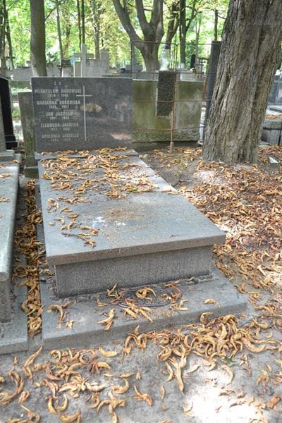 Zdjęcie grobu Marianna Borowska (1)