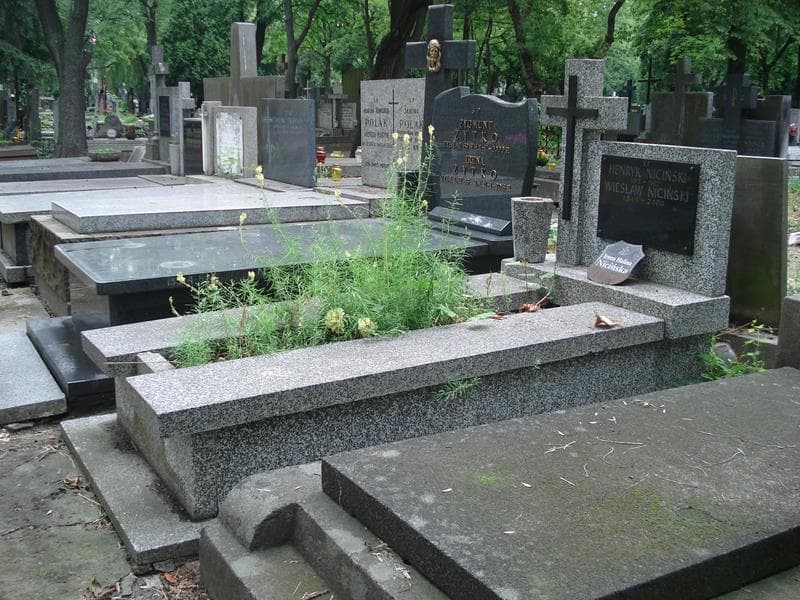 Zdjęcie grobu: Wiesław Niciński