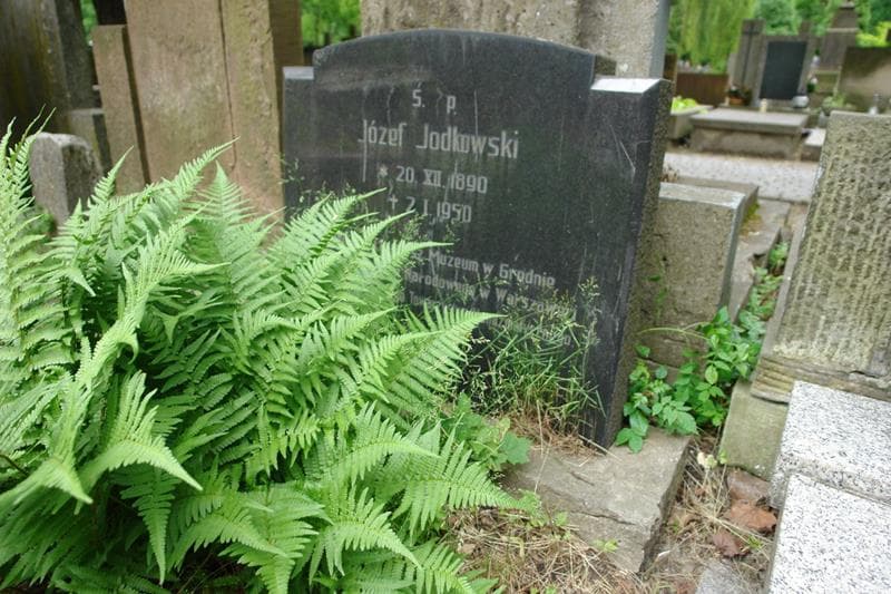 Zdjęcie grobu Józef Jodkowski (2)