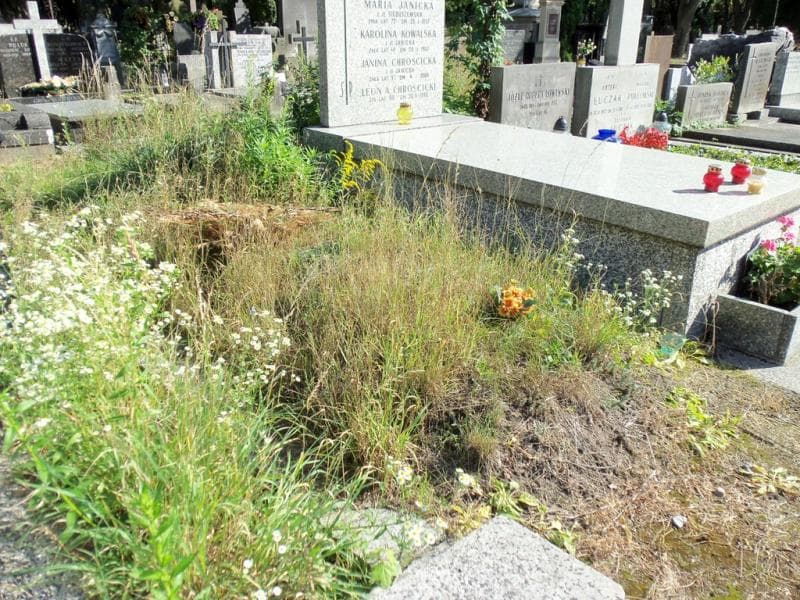 Zdjęcie grobu Anonim (1)