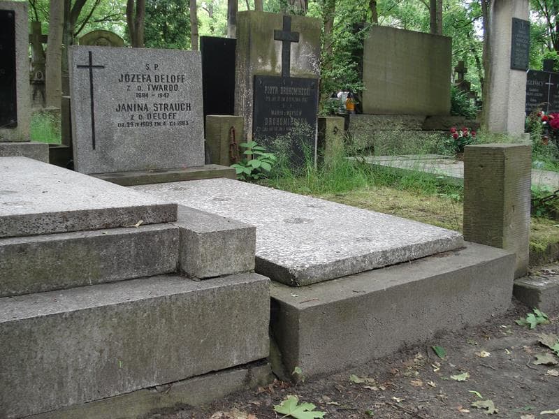 Zdjęcie grobu Janina Strauch (1)