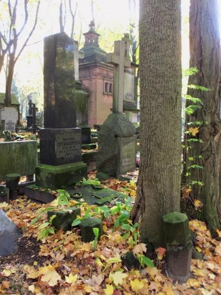 Zdjęcie grobu Malwina Pstrągowska (1)