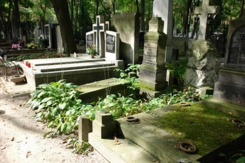 Zdjęcie grobu Józef Adamkiewicz (1)