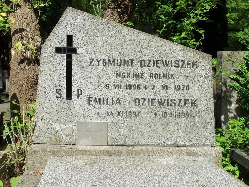 Zdjęcie grobu Zygmunt Dziewiszek (2)
