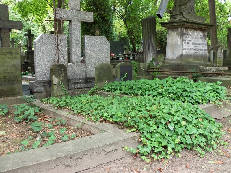 Zdjęcie grobu Adam Piotrowski (1)