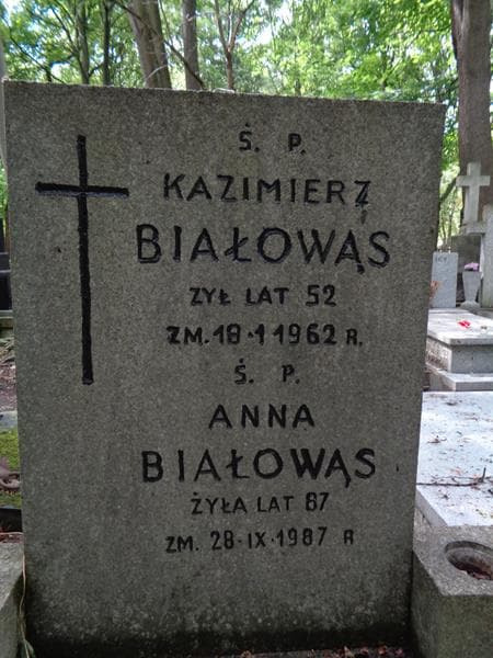 Zdjęcie grobu Anna Białowąs (2)