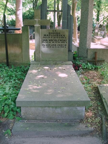 Zdjęcie grobu Jan Wróblewski (1)