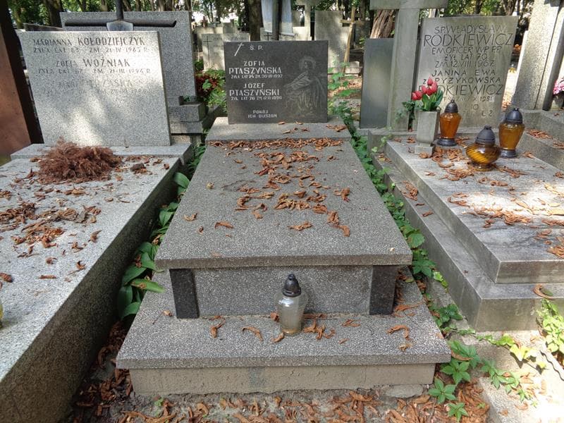 Zdjęcie grobu Józef Ptaszyński (1)