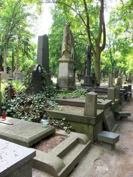Zdjęcie grobu Teofila Pierzchlewiczowa (1)