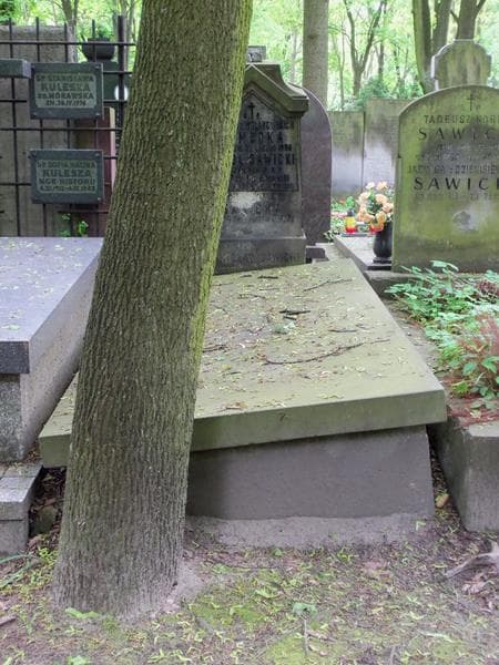 Zdjęcie grobu: Stanisław Sawicki