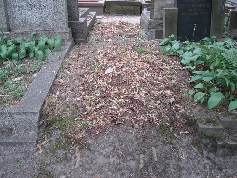 Zdjęcie grobu Pole Grobowe (1)