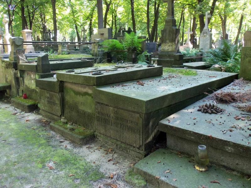 Zdjęcie grobu Ernest Pokrzywnicki (1)