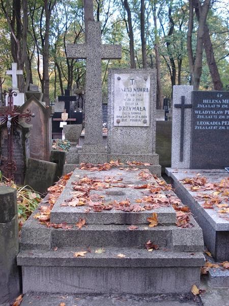 Zdjęcie grobu: Edward Drzymała
