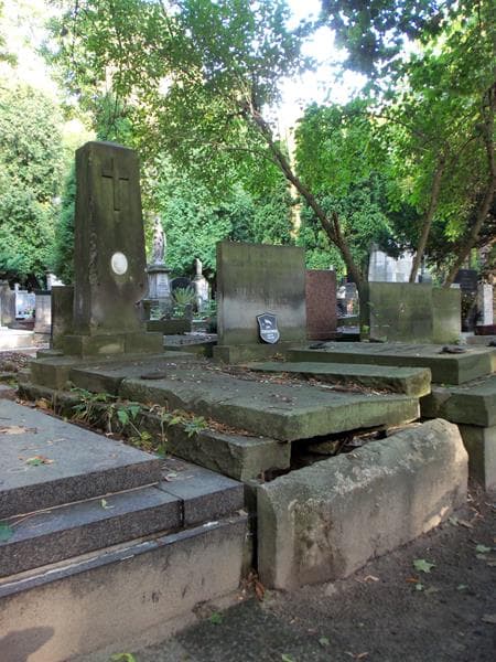 Zdjęcie grobu Władysław Holtzman (1)