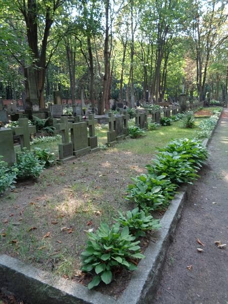 Zdjęcie grobu: Marta Kurowska