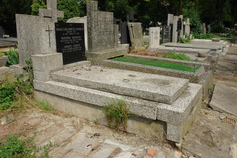 Zdjęcie grobu: Franciszek Bończa-Siennicki