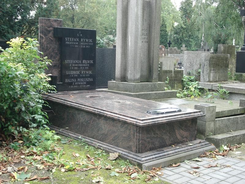 Zdjęcie grobu Ludwik Rywik (1)