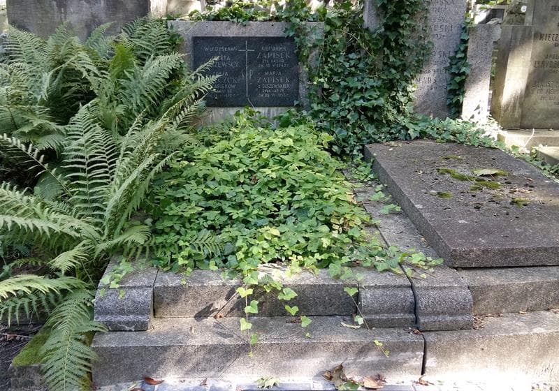 Zdjęcie grobu Józefa Olszewska (1)