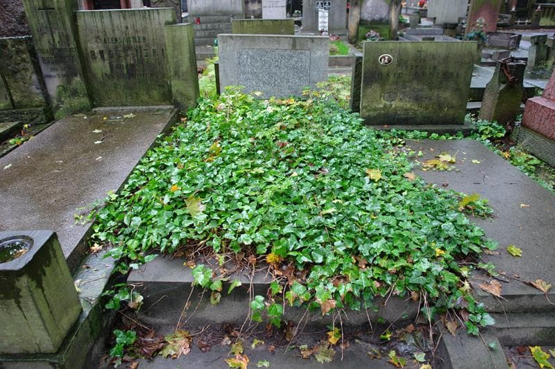 Zdjęcie grobu Stanisława Chudzińska (1)