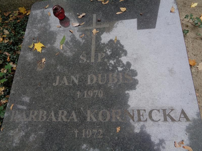 Zdjęcie grobu Jan Dubis (2)