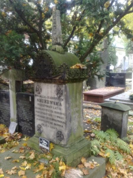 Zdjęcie grobu Anna Domańska (1)