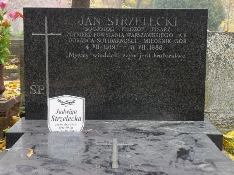 Zdjęcie grobu Janina Strzelecka (2)