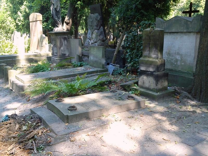 Zdjęcie grobu: Feliks Maszadro