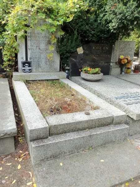 Zdjęcie grobu Władysław Woysym - Antoniewicz (1)