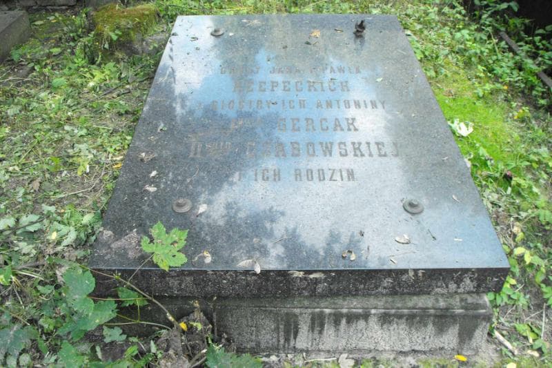 Zdjęcie grobu Antonina Czabowska (2)