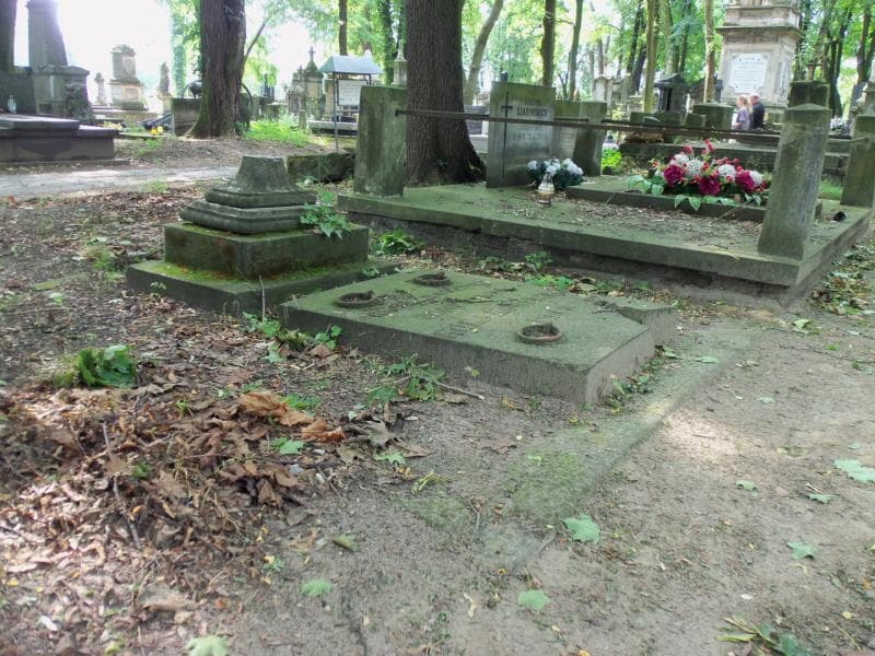 Zdjęcie grobu Julia Kołakowska (1)
