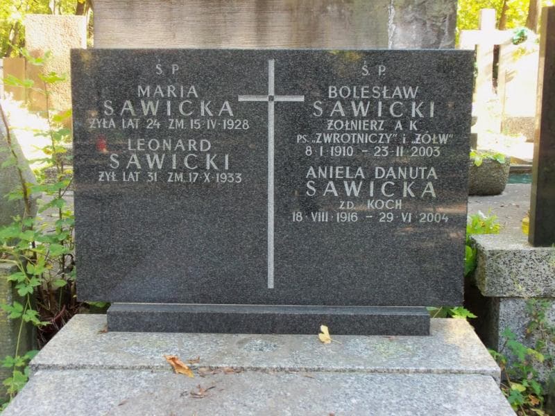 Zdjęcie grobu Leonard Sawicki (2)