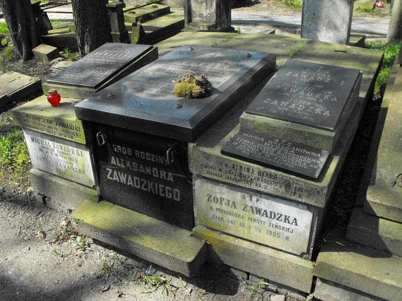 Zdjęcie grobu Albina Biała (1)