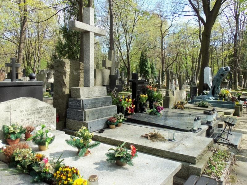 Zdjęcie grobu Henryk Manteuffel - Szoege (1)