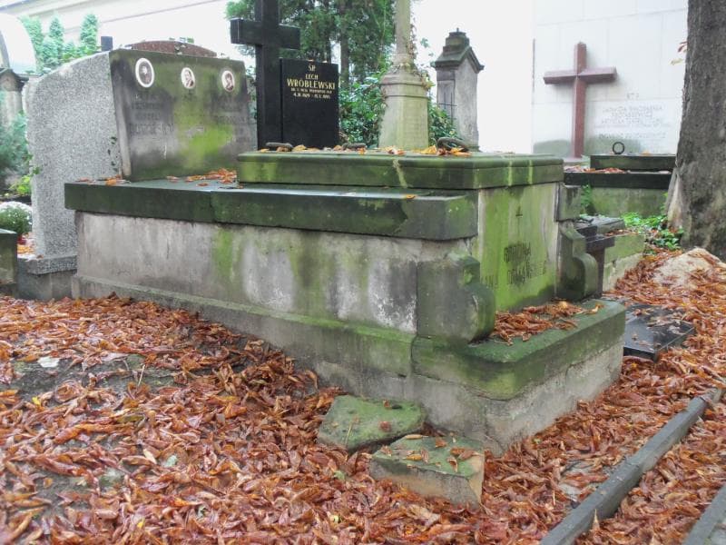 Zdjęcie grobu Wacława Domańska (1)