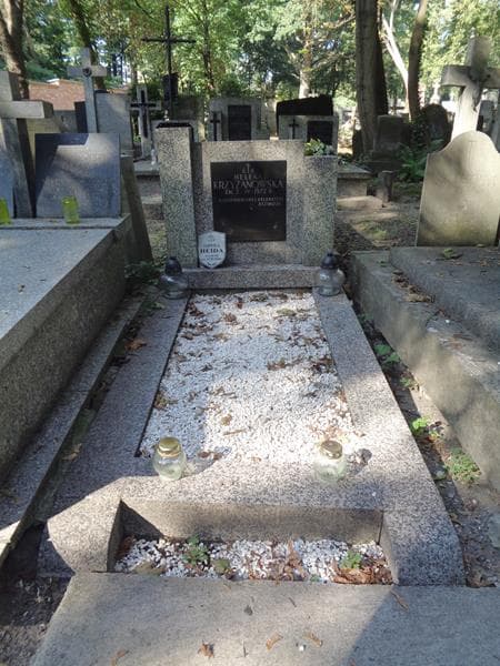 Zdjęcie grobu Helena Krzyżanowska (1)