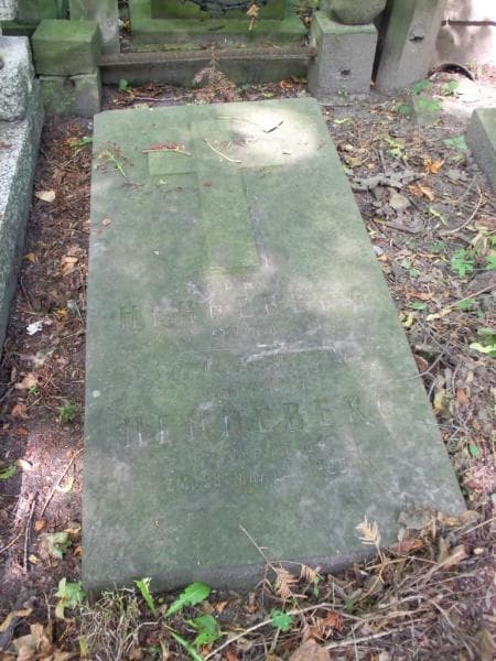 Zdjęcie grobu Ludwik Henneberg (1)