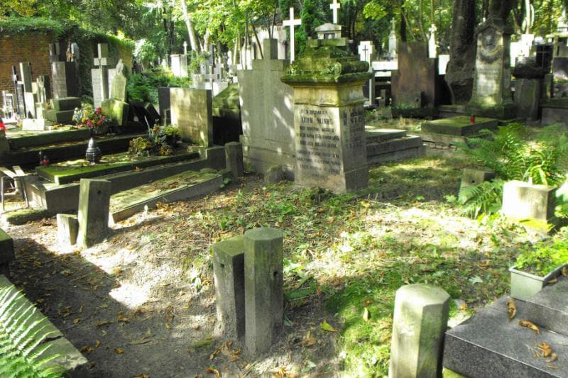 Zdjęcie grobu Wandziulka Naake (1)